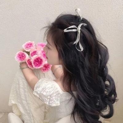 访问者
